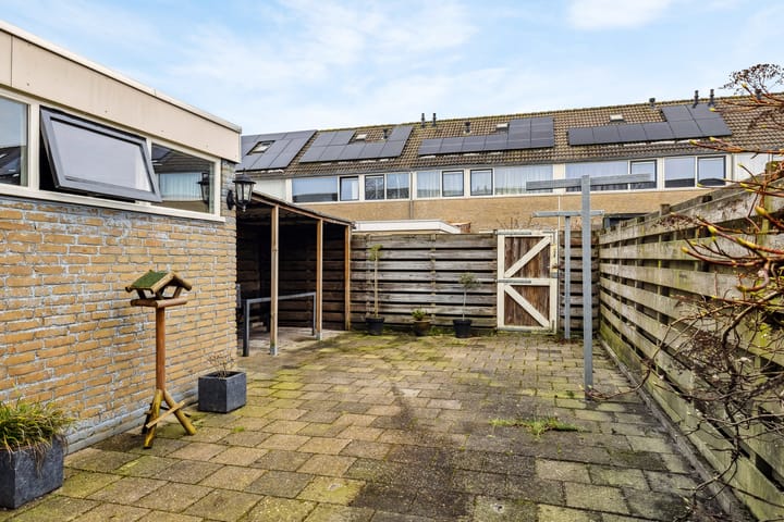 Foto 20 van Sterrekroos 24