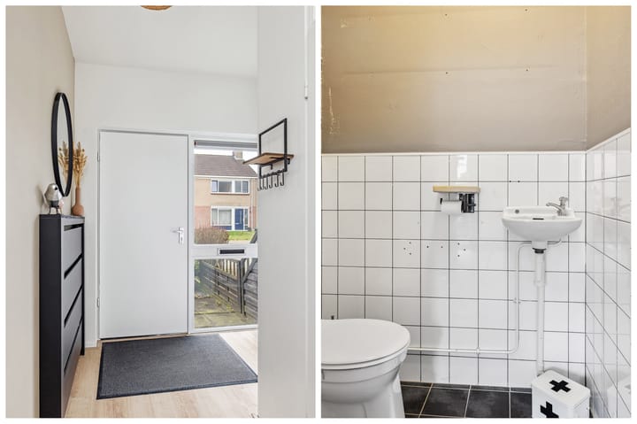 Foto 24 van Sterrekroos 24