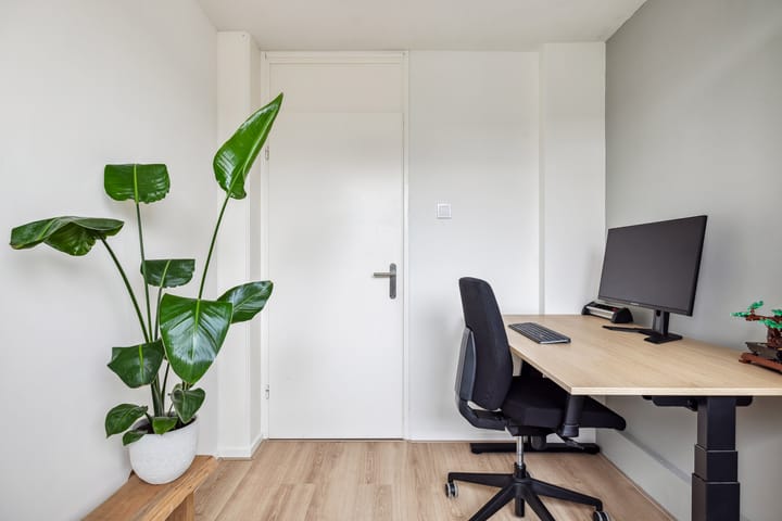 Foto 28 van Sterrekroos 24