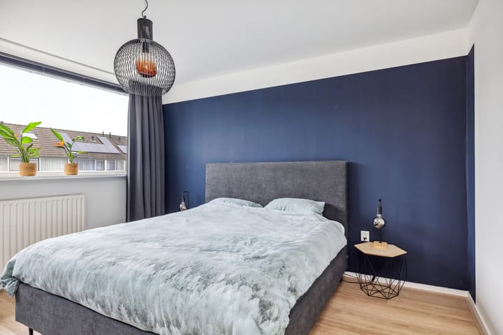 Foto 31 van Sterrekroos 24