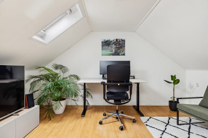 Foto 36 van Sterrekroos 24