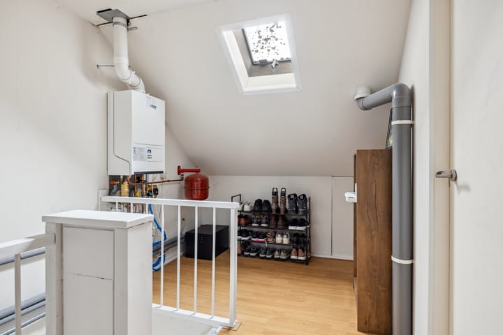 Foto 38 van Sterrekroos 24