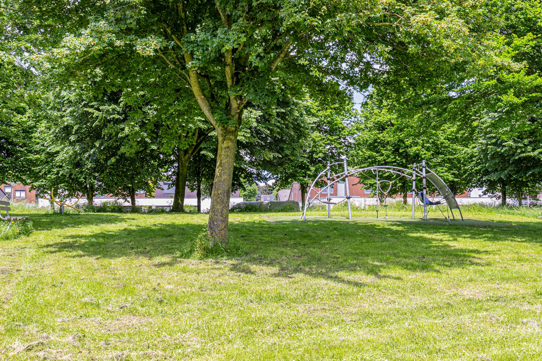 Foto 36 van Passaat 53