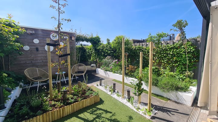 Foto 35 van Heideblauwtje 28