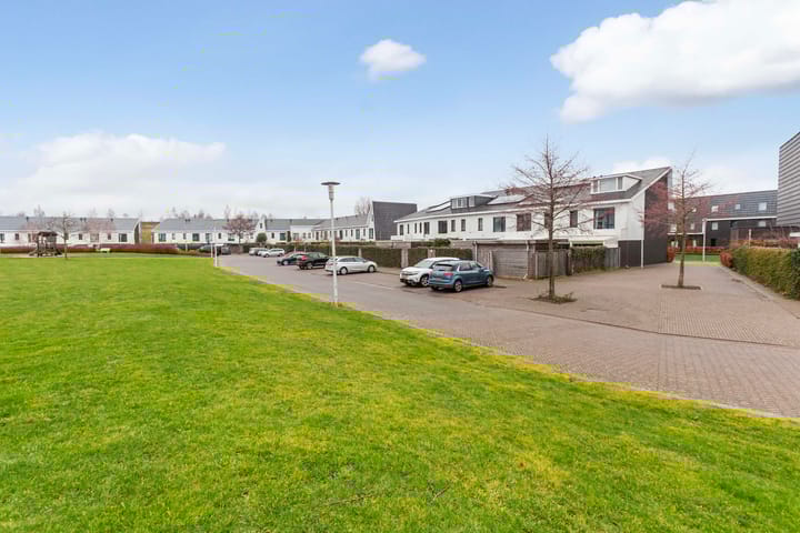 Foto 40 van Heideblauwtje 28