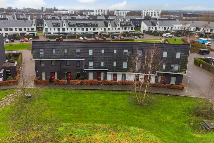 Foto 41 van Heideblauwtje 28