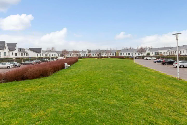 Foto 44 van Heideblauwtje 28