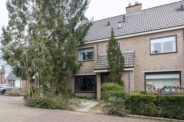 undefined main image