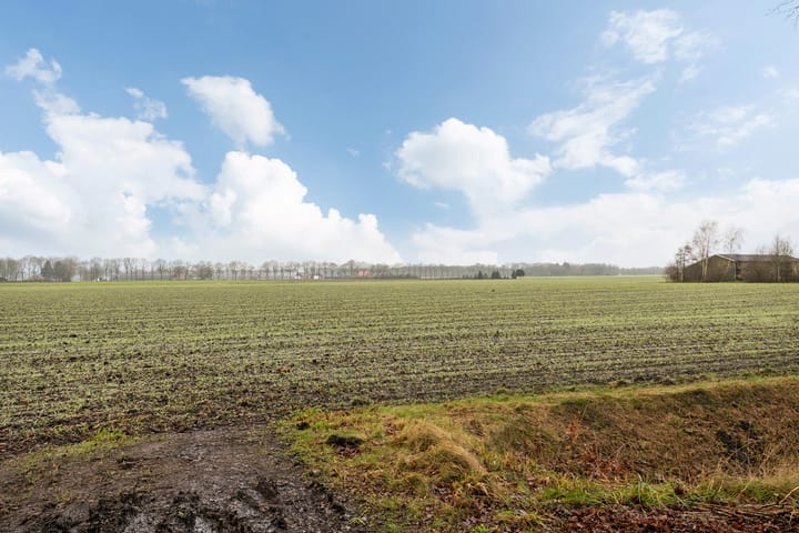 Foto 5 van Voorbeetseweg 40