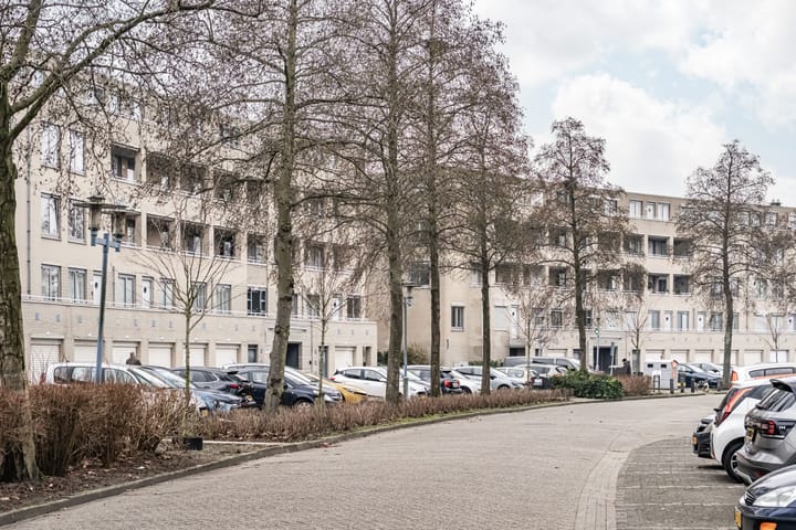 Foto 20 van Maan Bastion 260