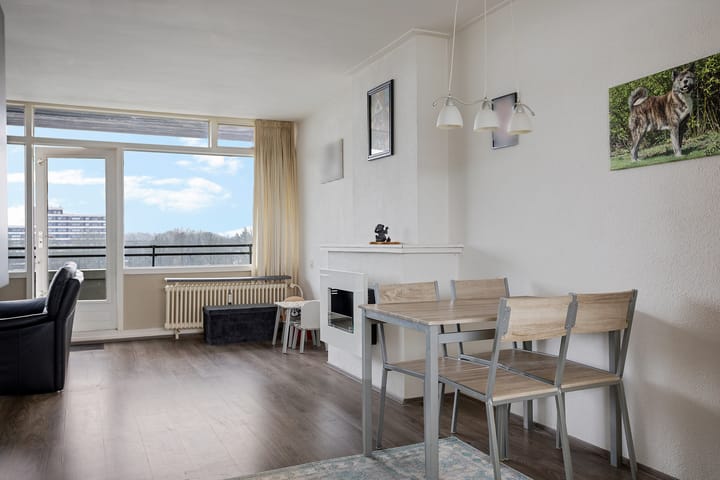 Foto 3 van Landschaplaan 110