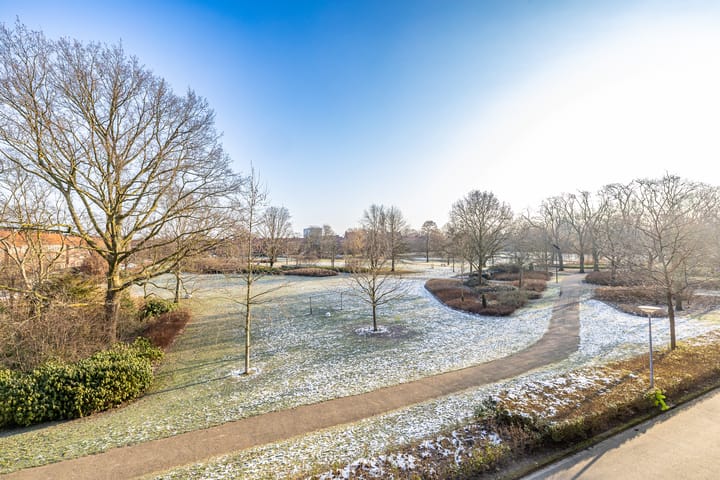 Foto 2 van Parkzijde 17