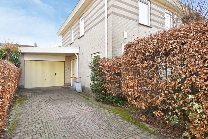 Foto 5 van Jacobsladder 2