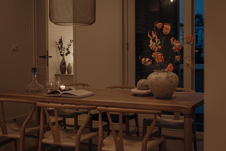 Foto 31 van Ruysdaelstraat 99-2