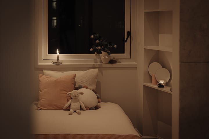 Foto 36 van Ruysdaelstraat 99-2