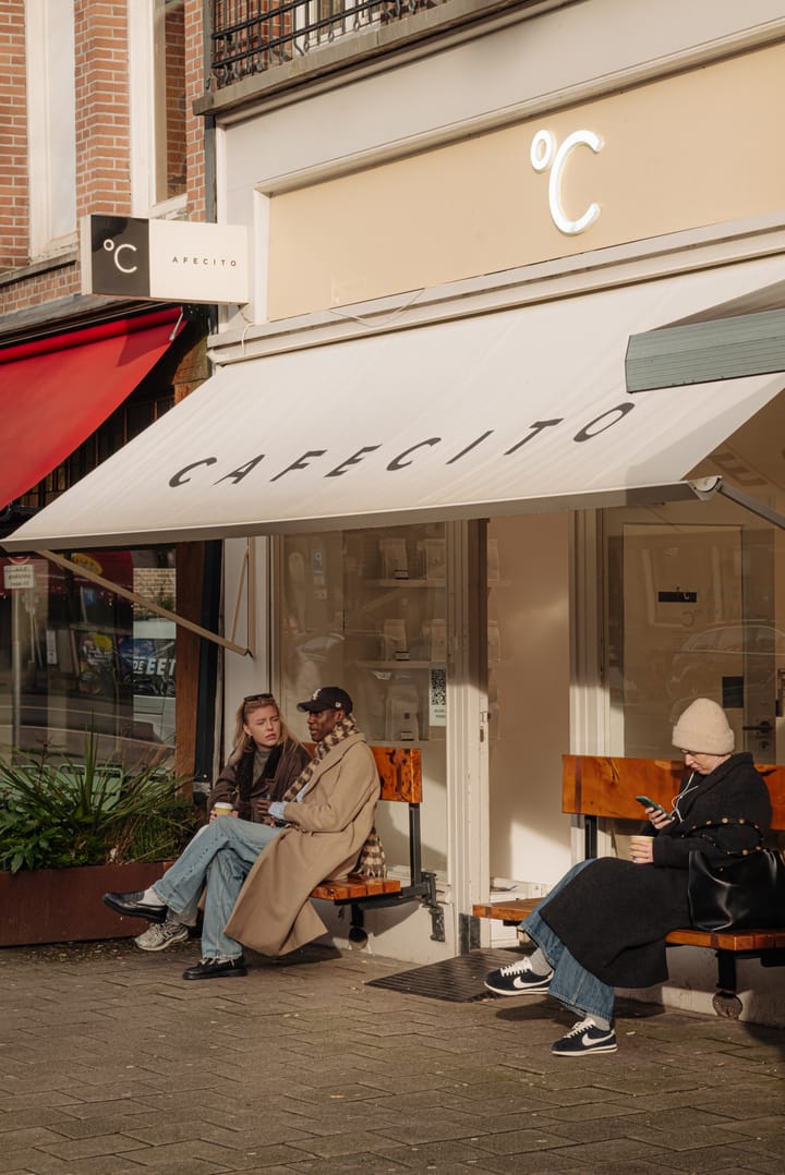 Foto 42 van Ruysdaelstraat 99-2