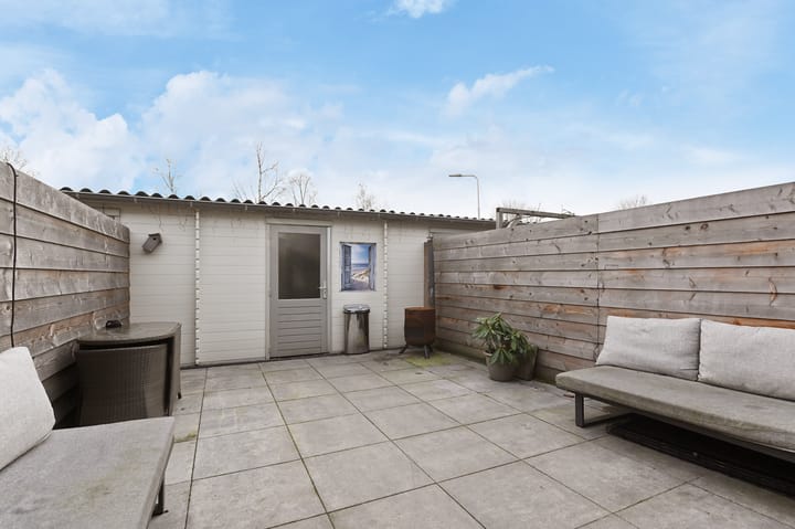 Foto 15 van Venus 36