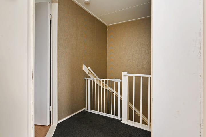 Foto 27 van Venus 36