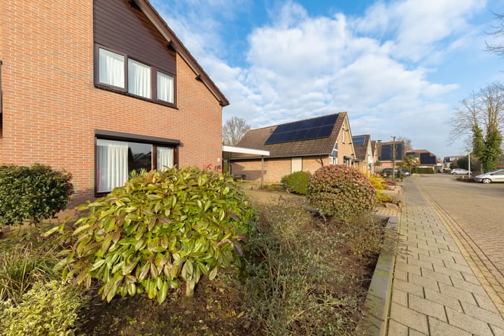 Foto 6 van Gentiaan 24