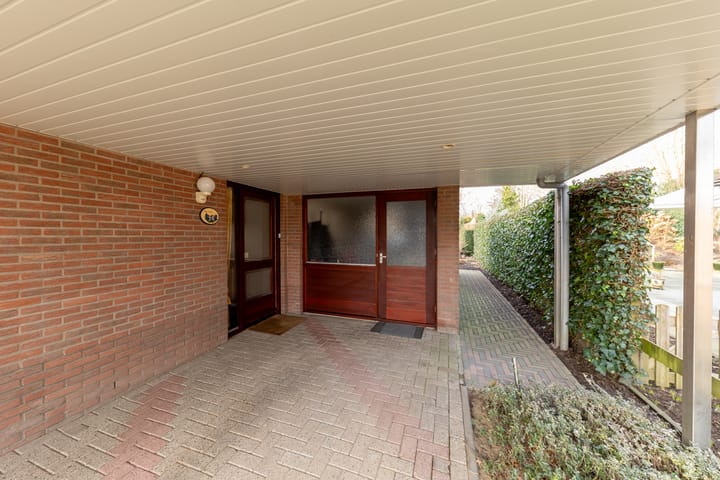 Foto 10 van Gentiaan 24