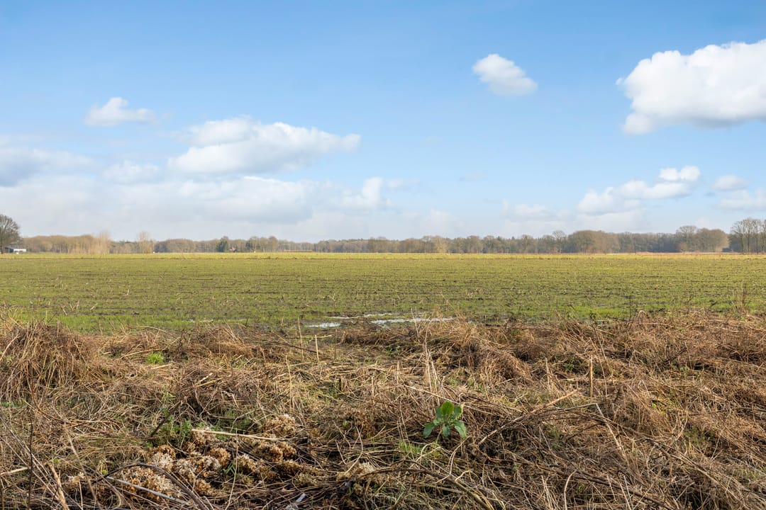 Foto 31 van De Rank 3