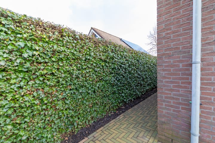 Foto 40 van Gentiaan 24