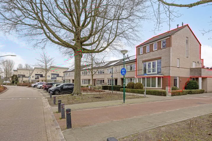 undefined main image