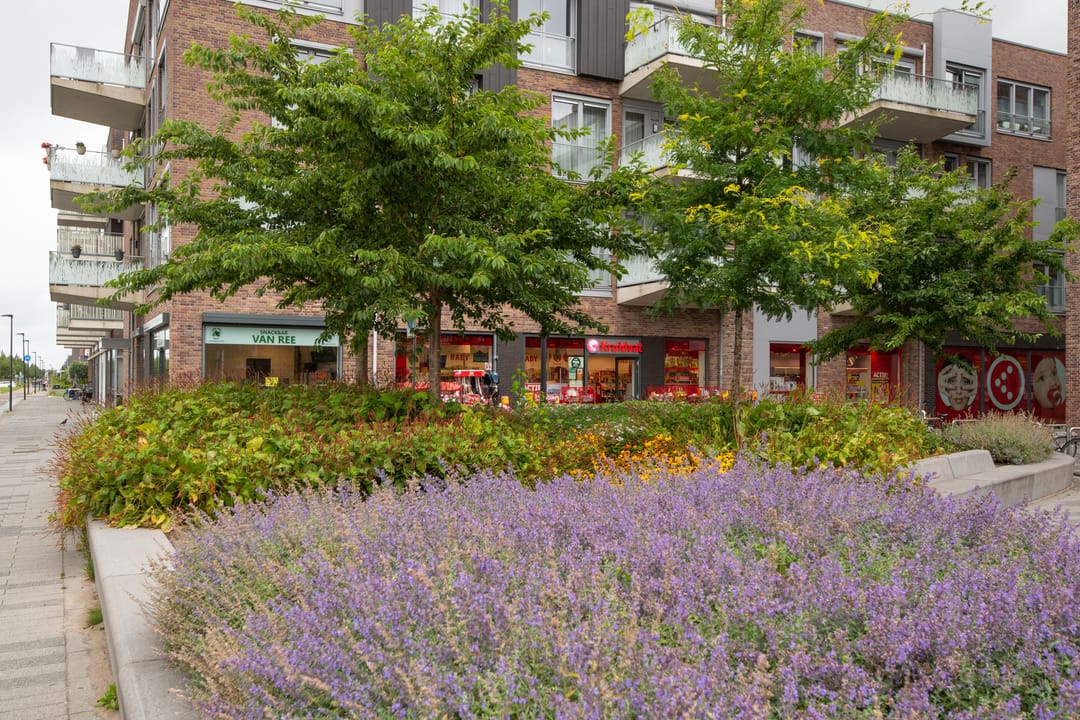 Foto 43 van Jacobsstaf 44