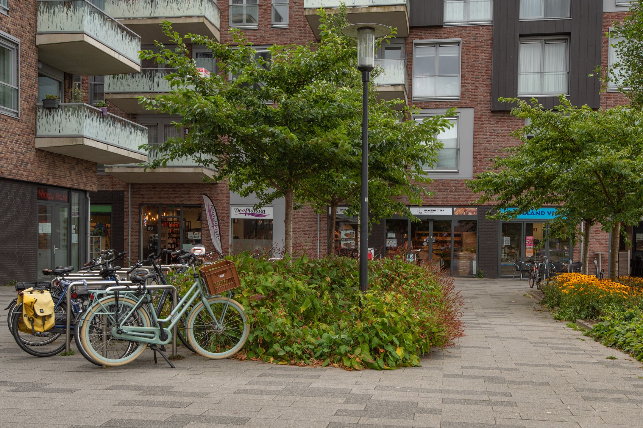 Foto 45 van Jacobsstaf 44