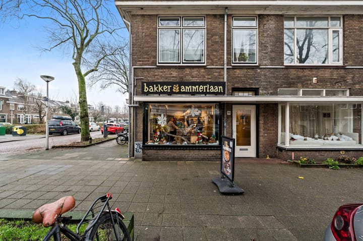 Foto 20 van Sabangstraat 10