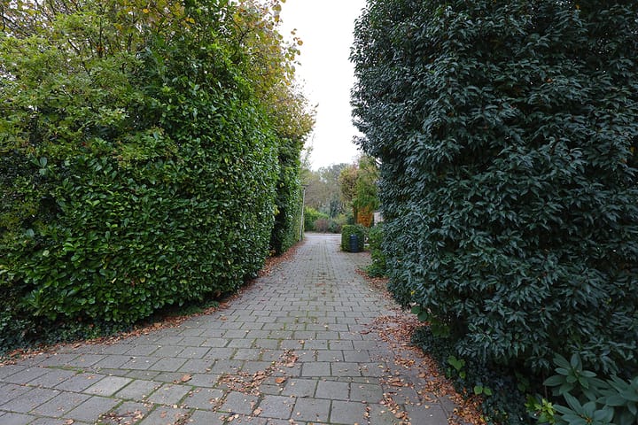 Foto 7 van Voortsweg 295