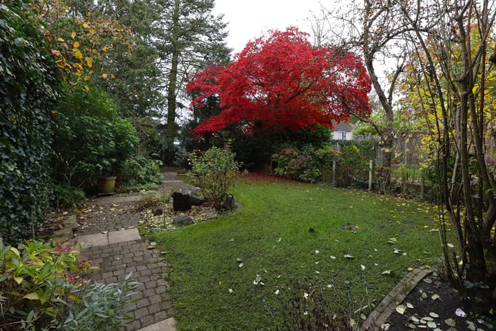 Foto 9 van Voortsweg 295