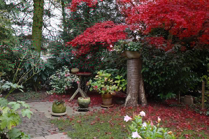 Foto 10 van Voortsweg 295