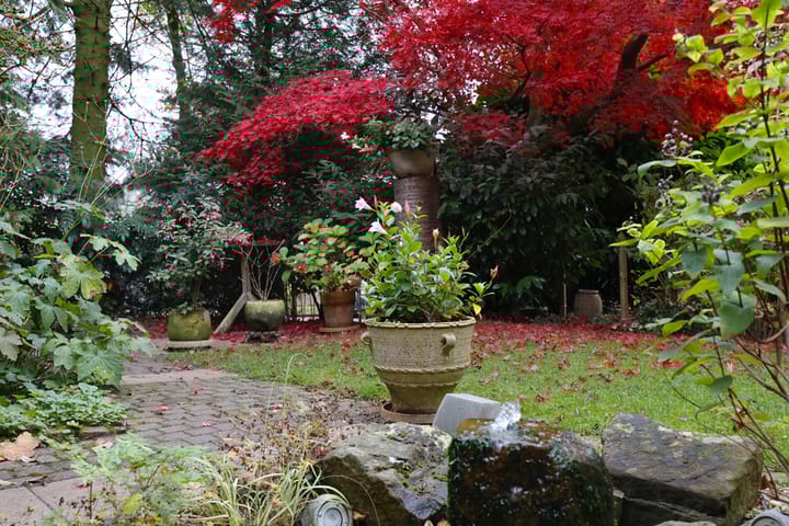 Foto 11 van Voortsweg 295