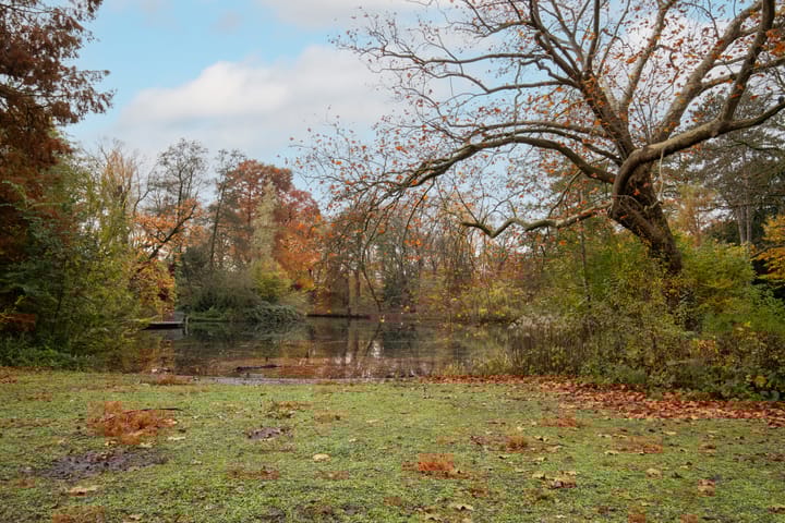 Foto 34 van Sweder van Zuylenweg 77