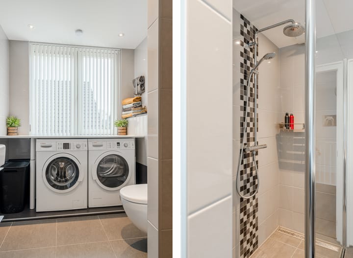 Foto 50 van Tapijtschelp 71