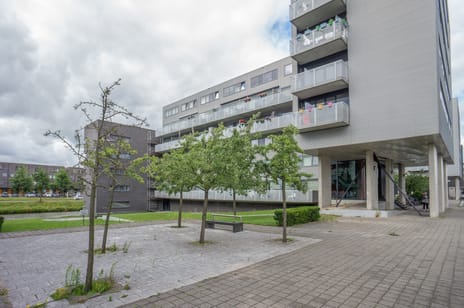 Ladogameerhof thumbnail