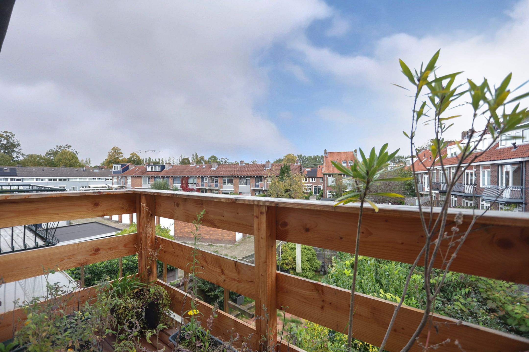 Foto 39 van Coornhertstraat 5