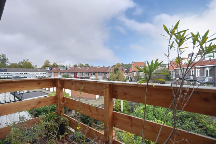 Photo 39 of Coornhertstraat 5