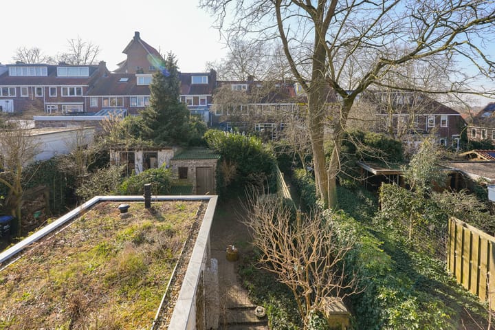 Foto 45 van Palmstraat 43