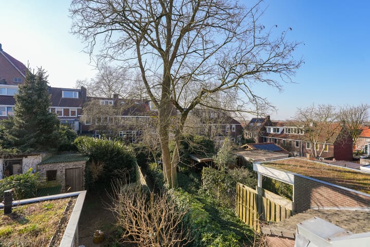 Foto 46 van Palmstraat 43