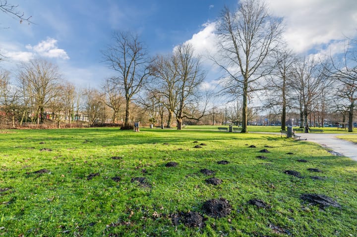 Foto 28 van Assendelftstraat 1-3