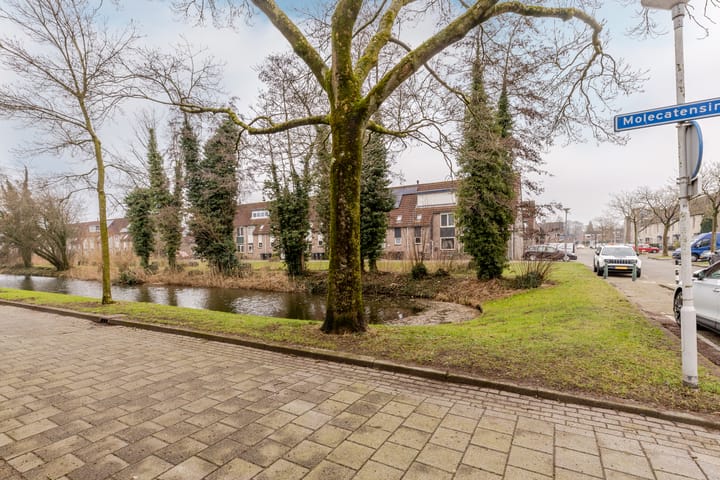 Foto 7 van Molecatensingel 405