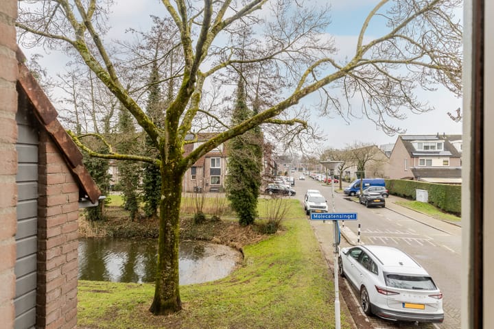 Foto 28 van Molecatensingel 405