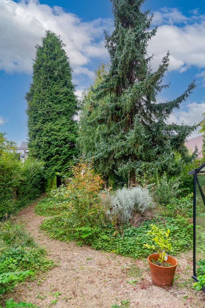 Foto 50 van Beekhoverstraat 3-C