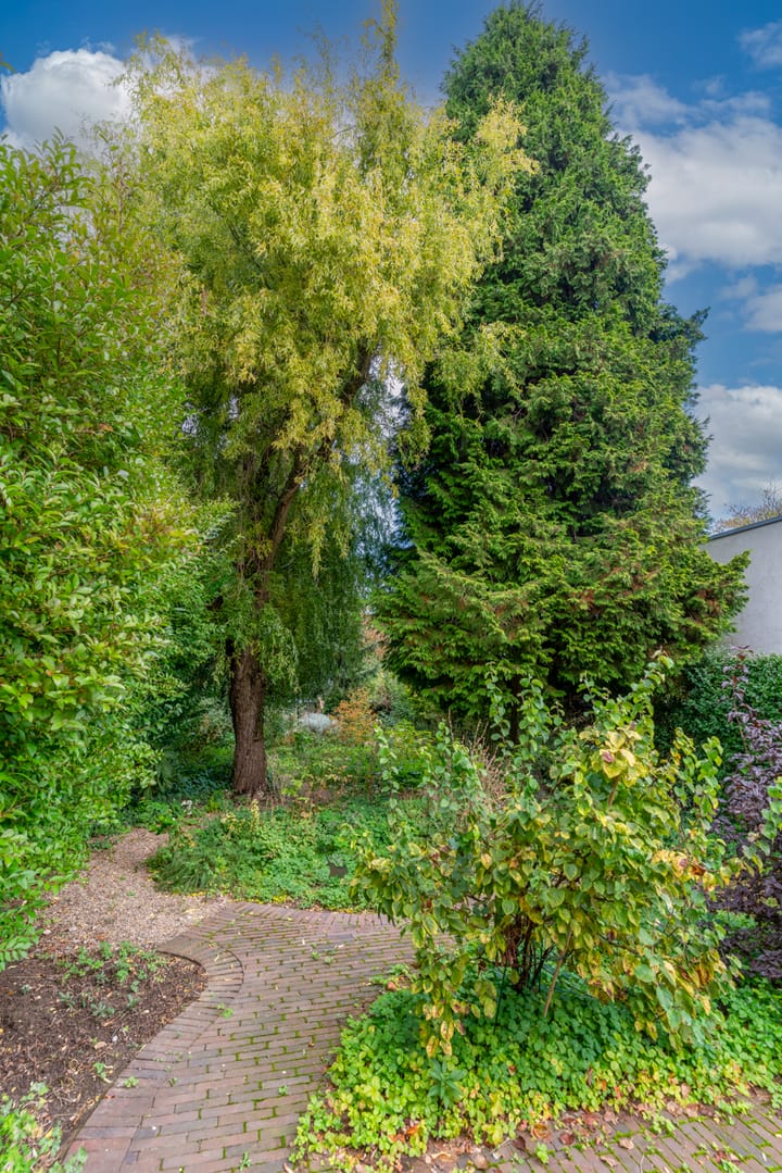 Foto 53 van Beekhoverstraat 3-C