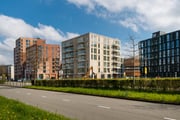homes for rent on Sabapad 8