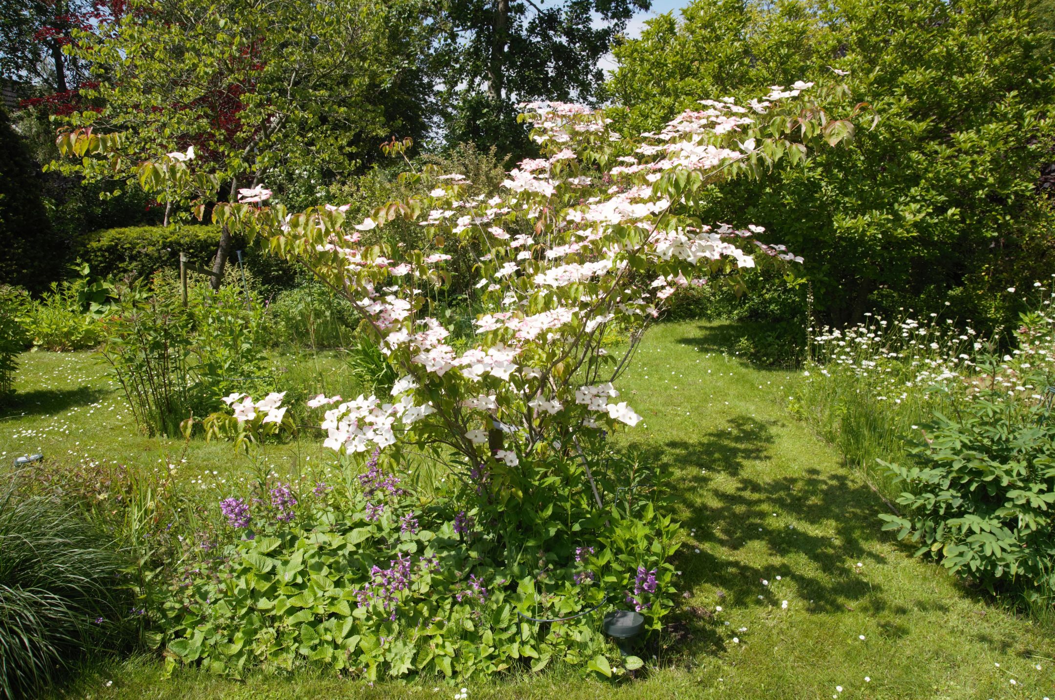 Foto 30 van Droge Wijmersweg 5-277