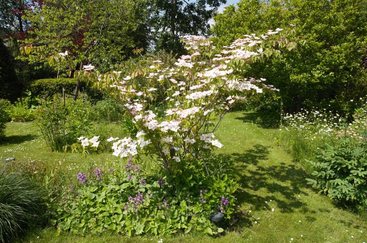 Foto 30 van Droge Wijmersweg 5-277