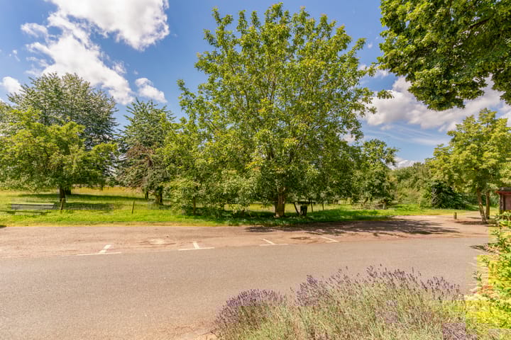 Foto 63 van Grote Straat 62